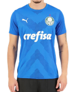 Camisa Puma Palmeiras Goleiro I 2023