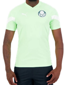 Camisa Puma Palmeiras Treino 2023 Verde